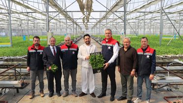 Hidroponik Maydanoz Hasadı Başladı