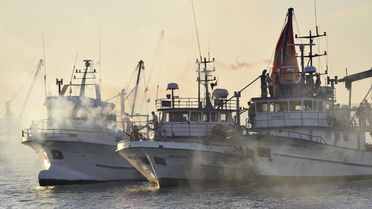 Türk Somonu Hasat Şenliği Yakakent'te