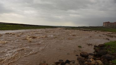 Şanlıurfa'da Çoban ve Hayvanlar Kurtarıldı