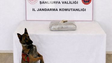 Birecik'te Uyuşturucu Operasyonu
