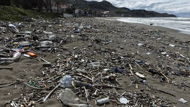 Türkeli Sahili Rüzgarla Çöplüğe Döndü