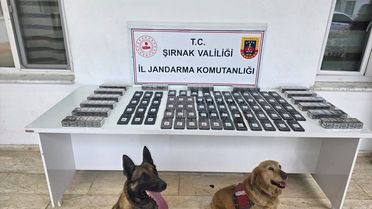 Şırnak'ta Kaçakçılık Operasyonları: 109 Şüpheli