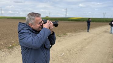 Kanola Tarlalarında Foto Safari