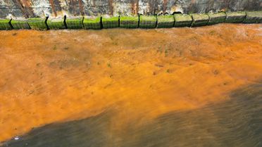 Marmara Denizi'nde Plankton Patlaması