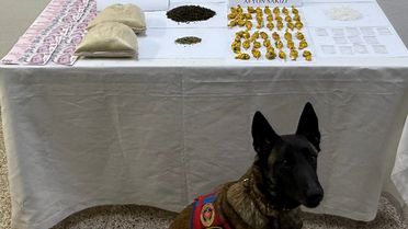 Tokat'ta Uyuşturucu Operasyonu: 1 Gözaltı