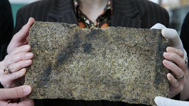 Öğrencilerden Şeker Pancarıyla Yenilikçi Proje