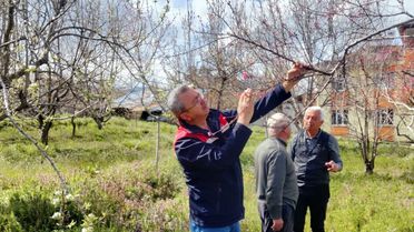 Tosya'da Zirai Don Endişesi Olmadığı Açıklandı