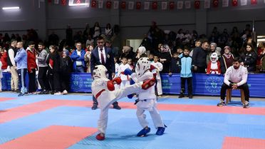 Trabzon'da 2. Şehit Eren Bülbül İller Arası Karate Şampiyonası başladı