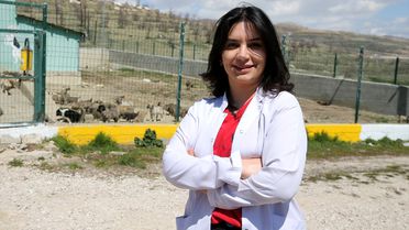 Van'da Gıda Atıklarıyla Mama Üretimi