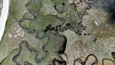 Bolu'nun Sarıalan Yaylası'ndaki Eşsiz Manzara