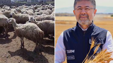 Bakan Yumaklı'nın 'Örnek üretici' dediği çiftçi video çekip yardım istedi