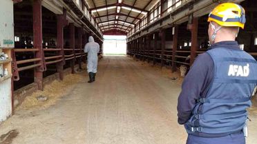 Çorum'da Gaz Sızıntısı İhbarı