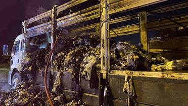 Kocaeli'de Kamyon Yangını: Tekstil Yükü Kül Oldu