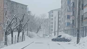 Bitlis'te Kar Yağışı