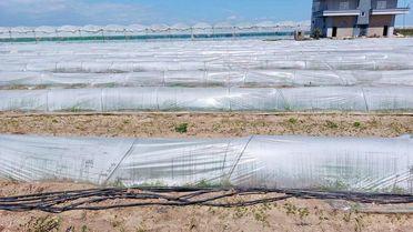 Bakanlıktan Tarsus Açıklaması