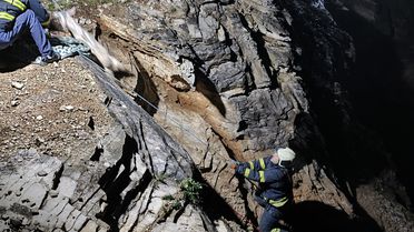 İzmit'te Keçiler Zorlu Kurtarıldı