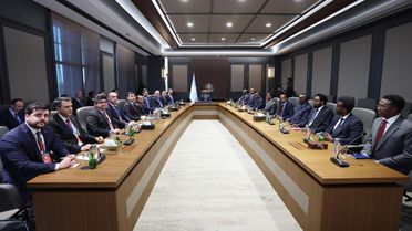 Enerji ve Tabii Kaynaklar Bakanı Alparslan Bayraktar, Somali'de