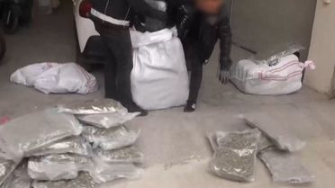 İstanbul'da Uyuşturucu Operasyonu: 176 Kilogram Ele Geçirildi