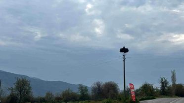 Leylekler Bozdoğan'da Baharı Müjdeliyor