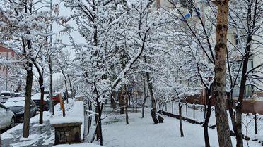 Erzurum ve Ardahan'da Kar Yağışı