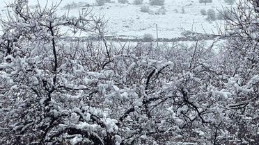 Malatya'da Kar Yağışı Etkili Oluyor