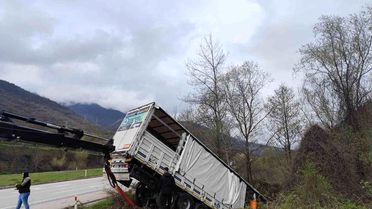 Tokat'ta Kaza: 3 Yaralı, 6 Hayvan Telef Oldu