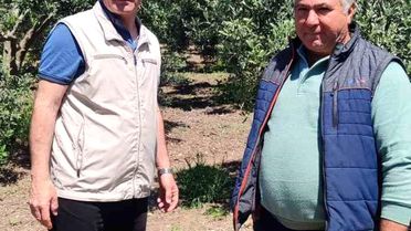 Zeytin Üreticilerine Bilgilendirme