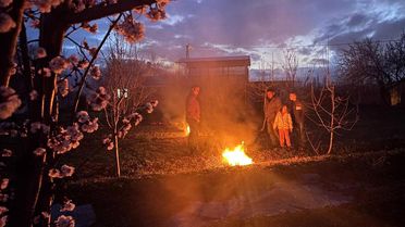 Erzincan'da Don Tehlikesi!