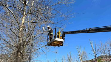 Esenyurt Belediyesi'nden yeşil alanlara bahar dokunuşu