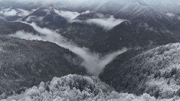 Ayder Yaylası'nda Kar Kalınlığı 20 Santimetreye Ulaştı