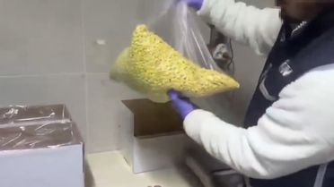 Bayrampaşa'da Sahte İlaç Operasyonu