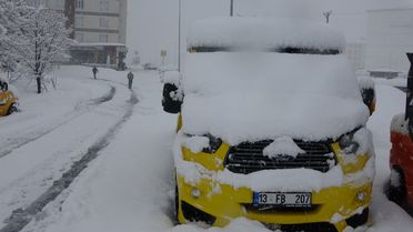 Bitlis'te Nisan Karı Hayatı Olumsuz Etkiledi