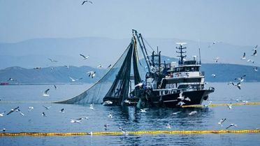 Av Yasağı 15 Nisan'da Başlıyor