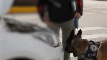 Isparta'da Uyuşturucu Operasyonları: 33 Şüpheli