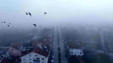 İhsangazi'de Yoğun Sis Etkili