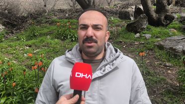 Ters Laleye Yoğun İlgi