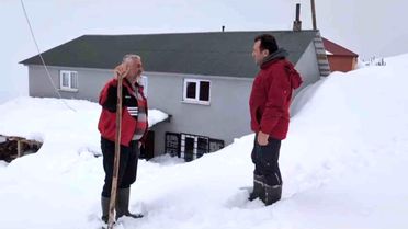 Torul'da Ayı Nöbeti: Hüseyin Çolakoğlu'nun Mücadelesi