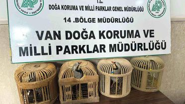 Gevaş'ta Kafes Avcısına 86 Bin TL Ceza