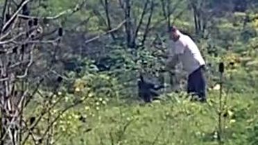 Avcılar'da köpeğe kemerle şiddet uygulayan şüpheli aranıyor