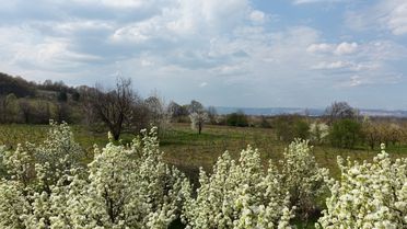 İnegöl'de İlkbahar Canlanması