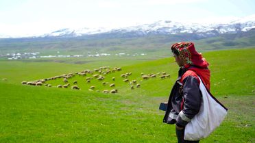 Kırsalda Bereket Projesi Başladı