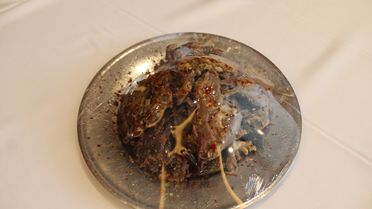 Sivas Kellesi'ne Coğrafi İşaret Tescili