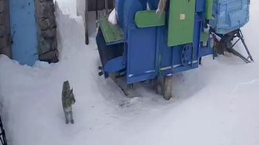 Vavaşak Köye İndi