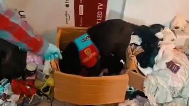 Bursa'da Uyuşturucu Operasyonu: 2 Tutuklama