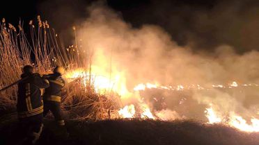 Erzincan'da anız yangını korkuttu