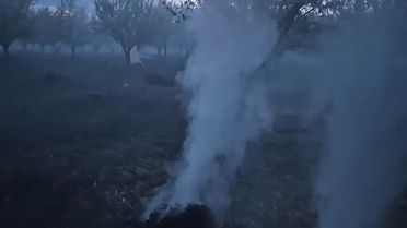 Iğdır'da Kayısı Üreticileri Gece Nöbeti Tutuyor