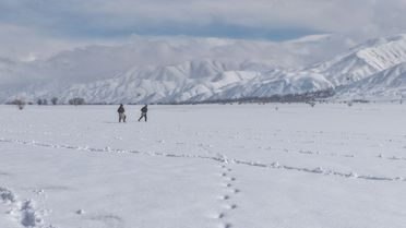 Karla Kapatlı Tarla: Don Ekim Yöntemi