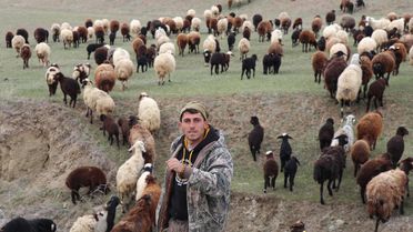 Dronla Çobanlık: 30 Saniyede Koyunlar Toplandı