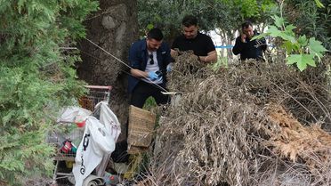 Ağaç altında ölü halde bulundu