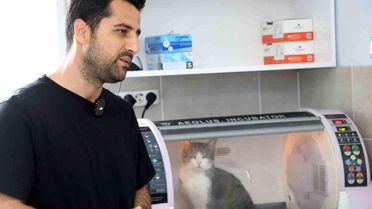 Kral ölümden döndü, zorlu ameliyat başarıyla tamamlandı